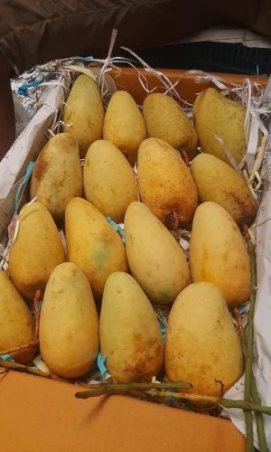 WhatsApp Image 2025-12-23 at 10.41.51 AM (1)